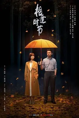 《相逢时节》：都市情感纠葛中的成年人童话，或是一地鸡毛的现实写照？